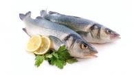 Opis ribe brancina s fotografijom, sastavom i sadržajem kalorija;  kako odabrati i čuvati proizvod;  koristiti u kuhanju;  koristi i štete