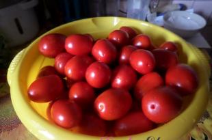 Sālīti tomāti - receptes ziemai